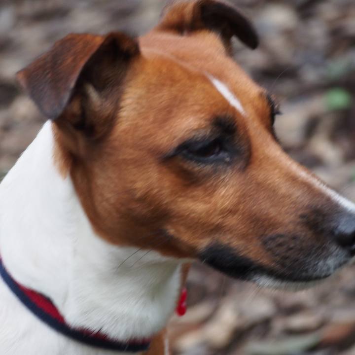 E42df1d0 9b10 4c15 917f 2d645266fa81