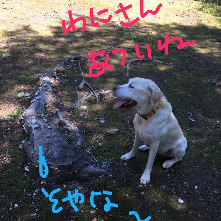 E42e8aa4 13b8 464a b679 799b01c01520