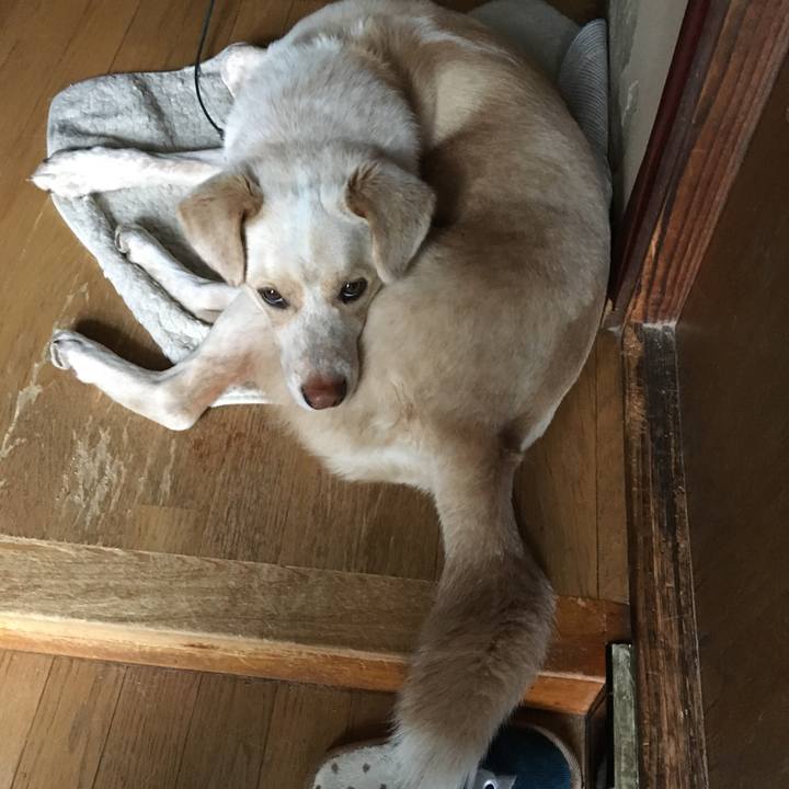 E42ea9d0 76cb 496c b84b 9ac12716faf0