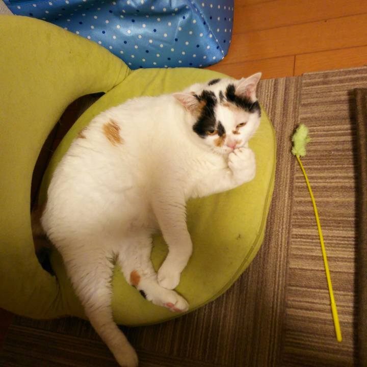 E42eb5c0 9c90 4025 a21b 7630af70e8a1