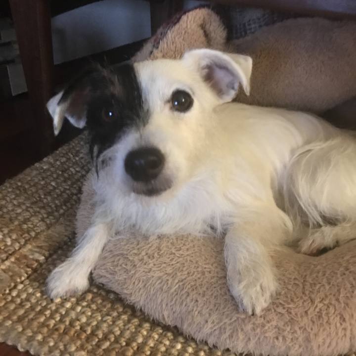 E42f1efa c39d 4177 8100 b76679d12bf7