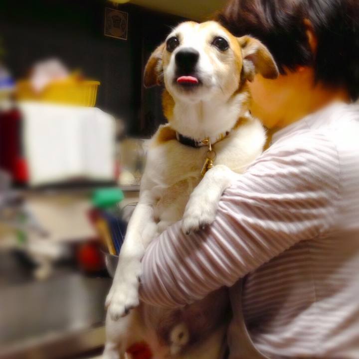 E42fa2fd 2e81 4e73 a66e 66dc9090dfa7