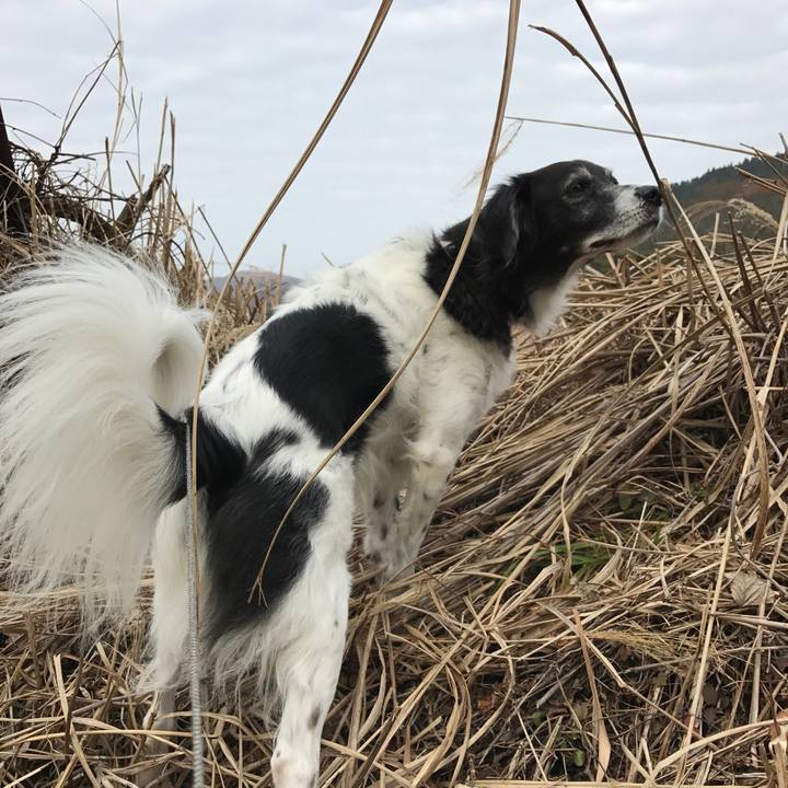 E42fbef8 d294 461a ad21 8868a5462d51