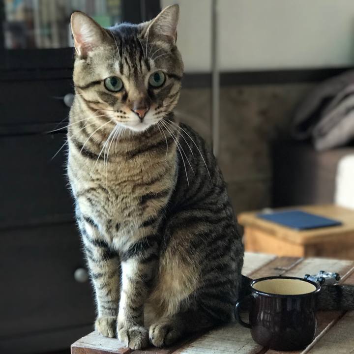 E42fed81 51be 4493 9117 2cfd2c4526b9