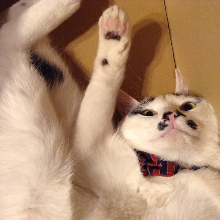 E43035ff 9f27 4a39 b332 eae9352d2019