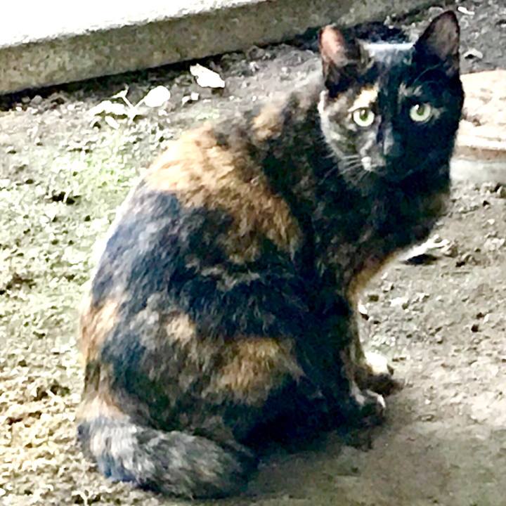 E43103ec fa15 419b 808f d519b0efa4e6