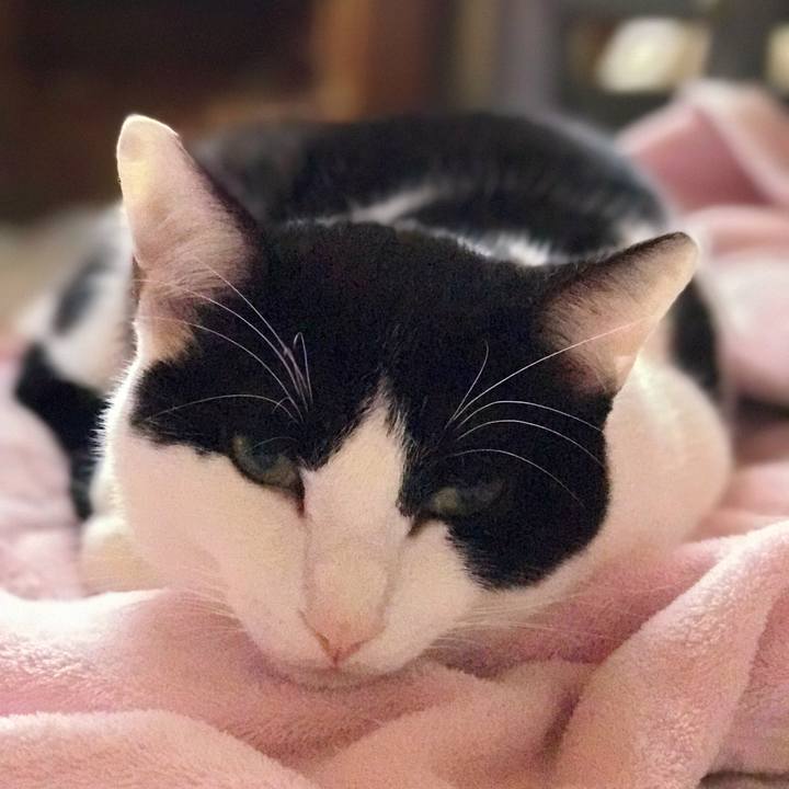 E431379d 0467 46de b952 ba82f22b17a9