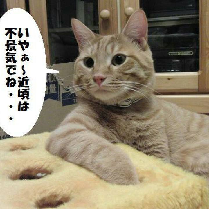 E4313e68 8f1a 4504 9363 067b2eb27002