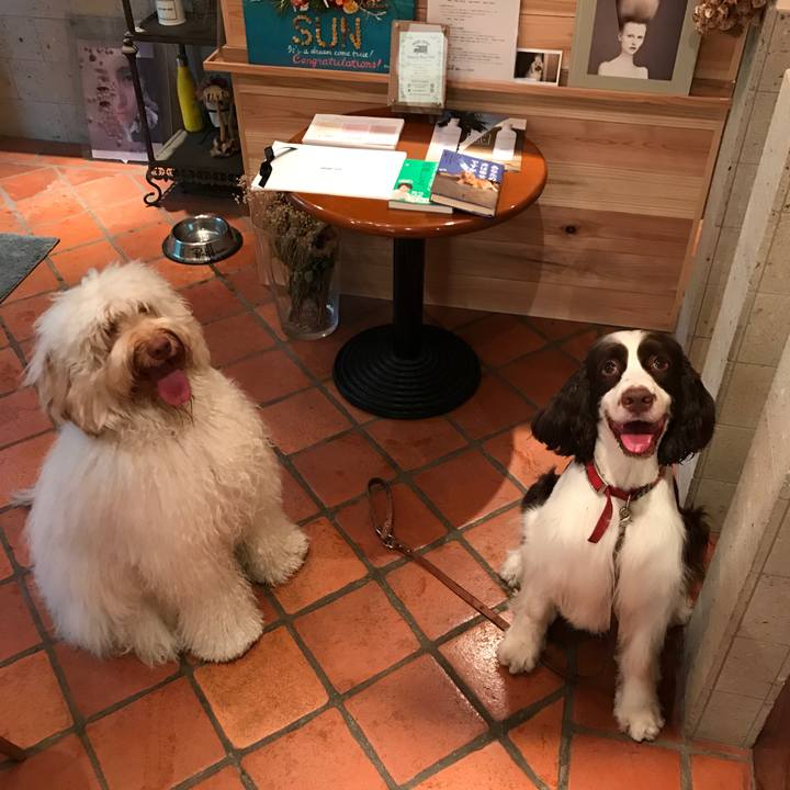 E43177be 116d 4e48 8a39 59e6afe04b69