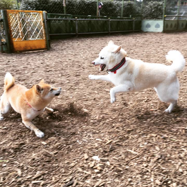 E431a62b 52b8 453c 9ec4 5760dbf6c8be