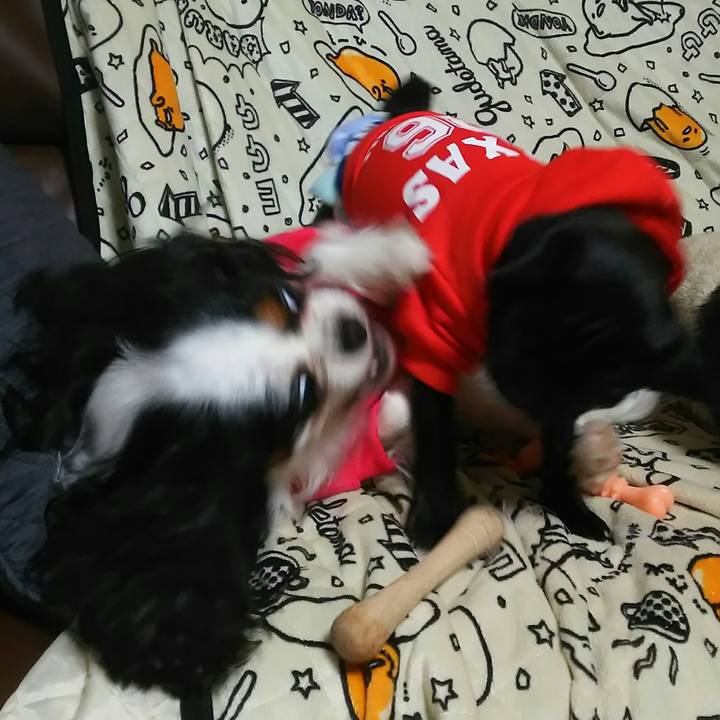 E4322983 6cee 4eae ae40 032c1ba06c92