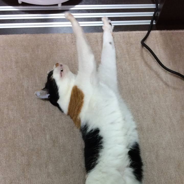 E4322b1f d142 488a b205 c96c3ec46a0e