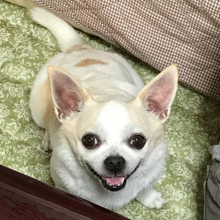 E4332f37 abc0 4437 b20f d685ac9cea9a