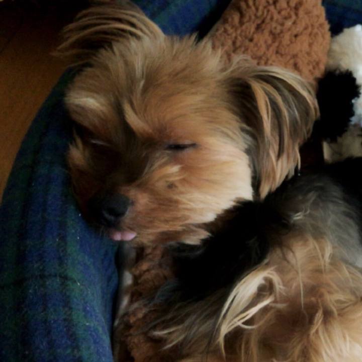 E433587e 80f2 478f 80c9 d8cb1a47918b