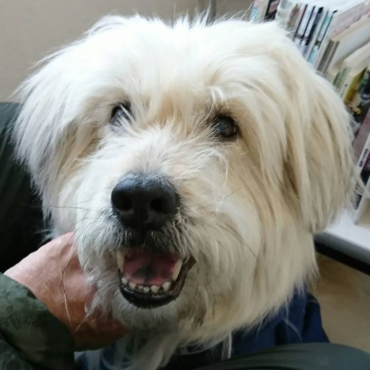 E4344a9a b7b7 40e1 95a0 2c4f2e927fa4