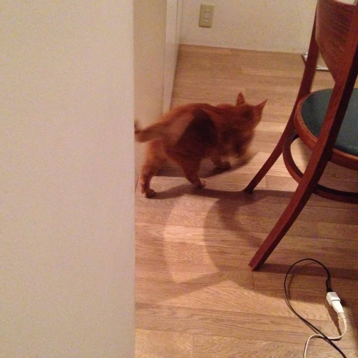 E43472b7 e0a2 4f14 b55f 6d751b01cba7