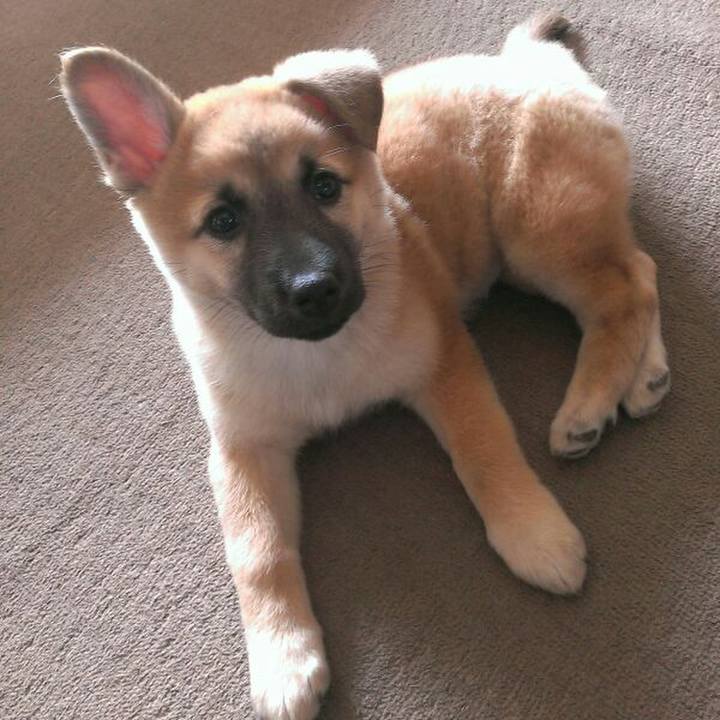 E434805c a87a 4c76 8803 f9e683ec4840