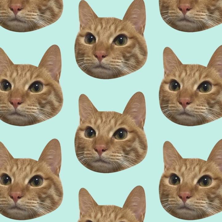 E435fd50 ae15 43b7 b3fd b9aaed3b1ea9