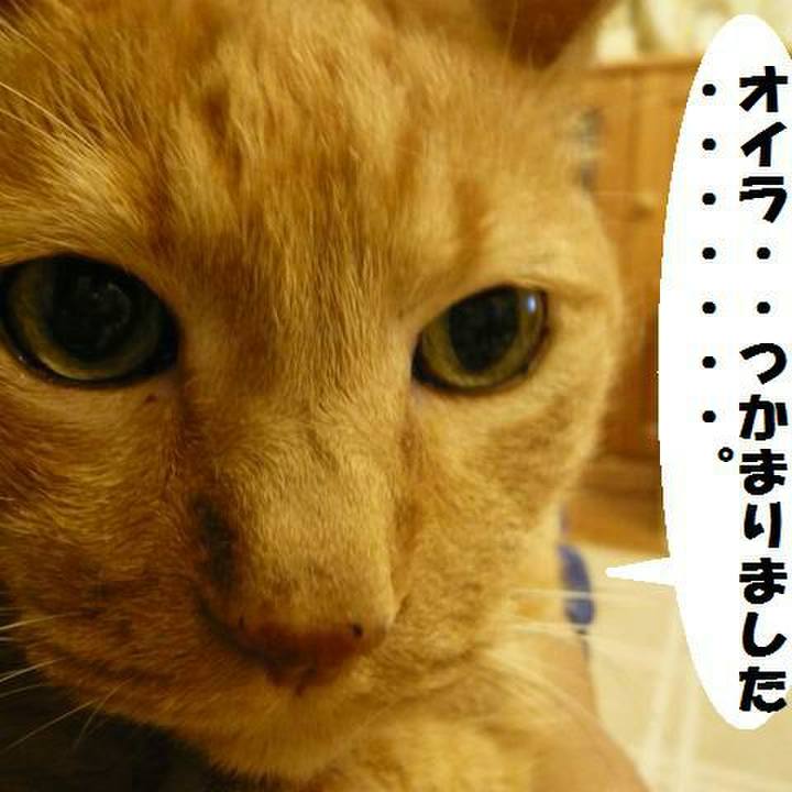 E4365187 f6ea 409f 83d8 dfa09f8488bd