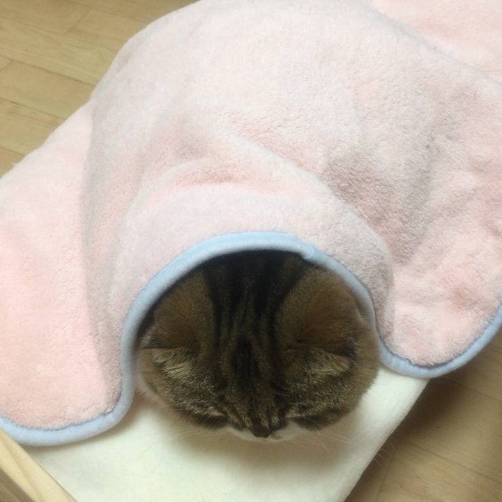 E436aa47 1574 4dd4 8492 abb3dd71982e