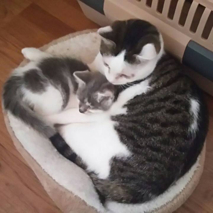 E436b199 2d98 457c ac2e 24a96cde1b6a