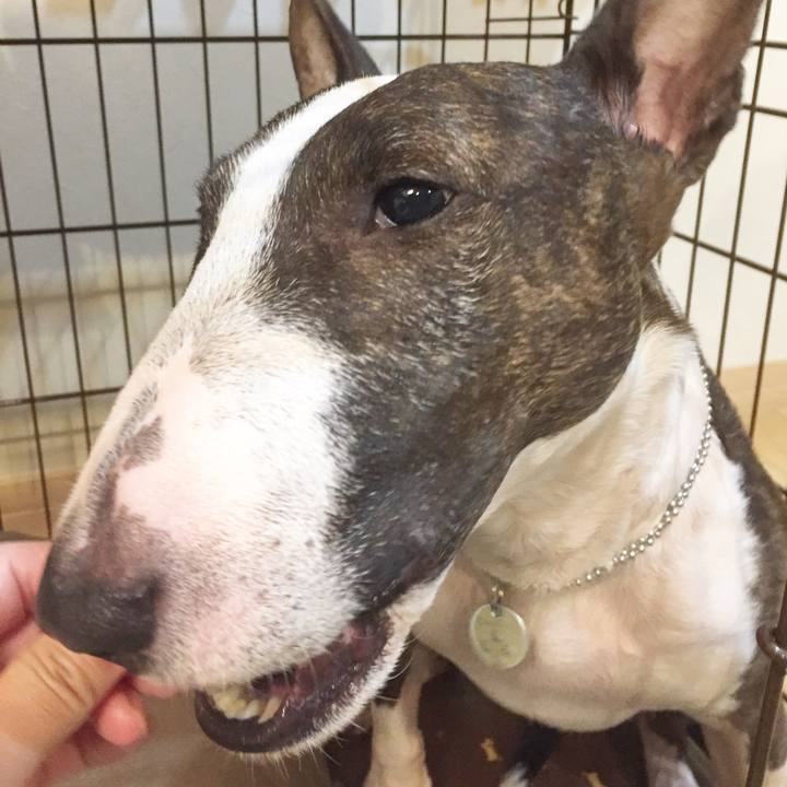 E436e925 1fe2 46fe 948b 12472358b388