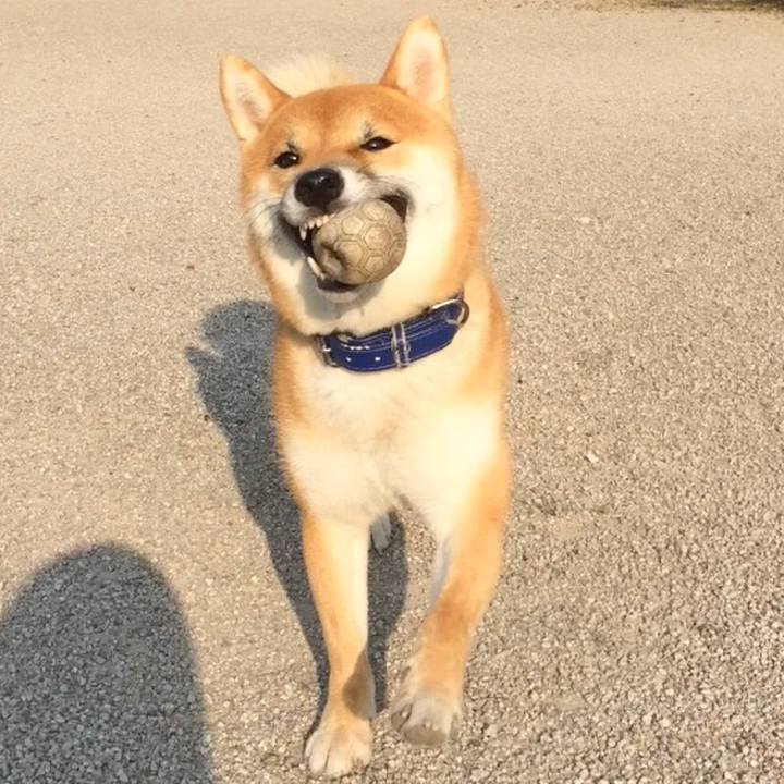 E436eb7b f062 4f8a 87c4 fd4ffa0cb235