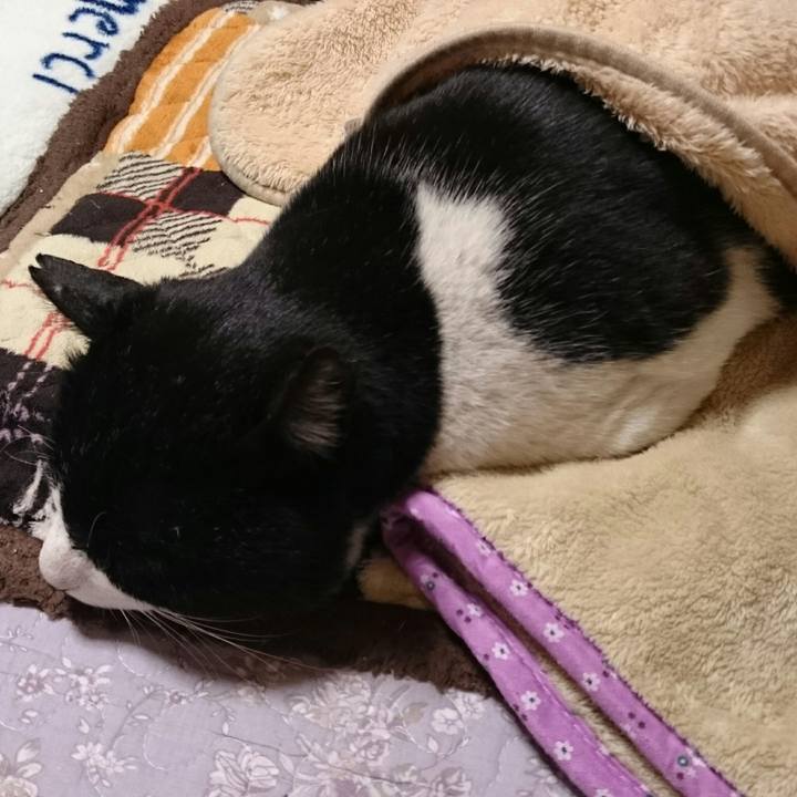 E4370b4c 4556 451b bd01 4db95d66a8f8