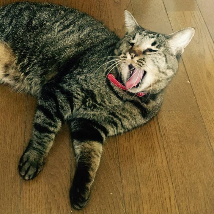 E4376d65 7d1c 4698 818a 64993e5c41f2