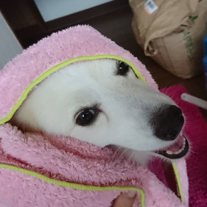 E4377698 083b 4a62 bbb9 0ae274b4a9d5