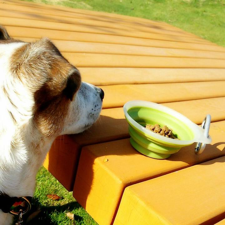 E4386996 4ac0 4018 a412 e178189cced2