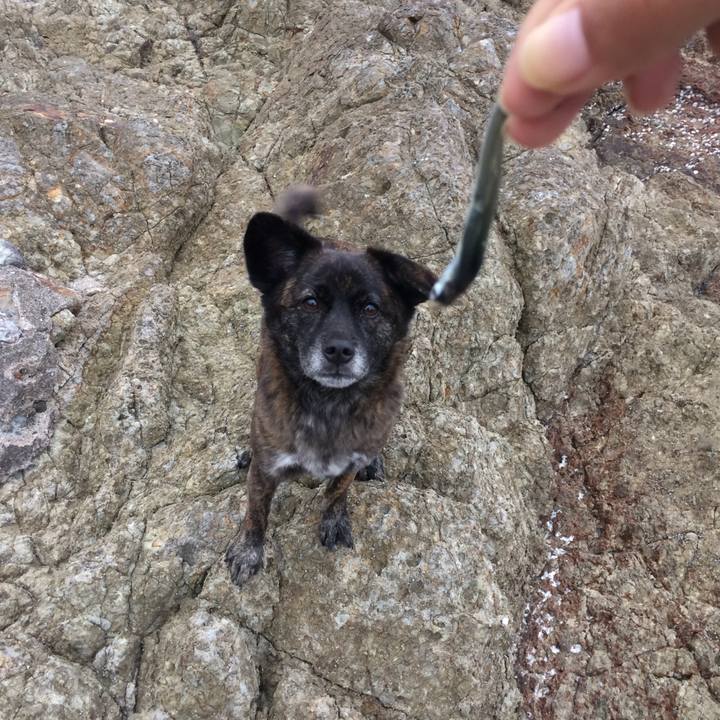 E439b46a 6be3 4cd9 a5a7 4a950fb4dab4