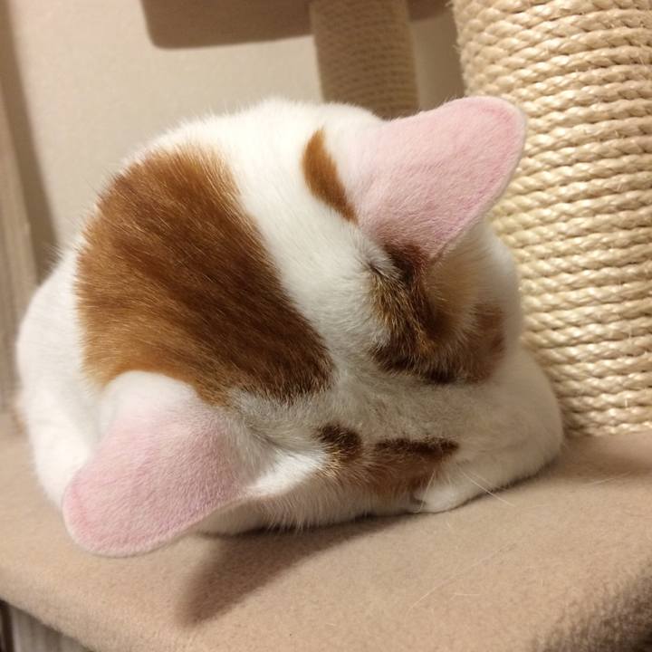 E43b00dc 539f 4165 ab7a 6f6968735004