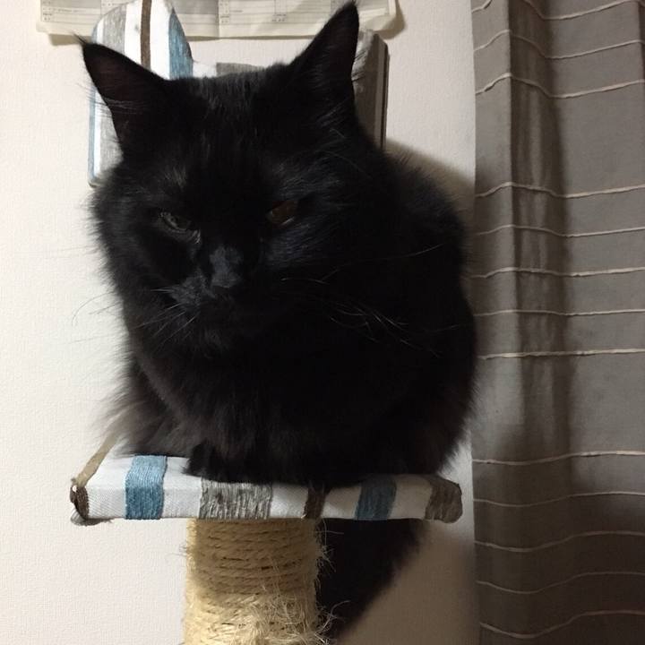 E43b059d 8b76 4681 8ae7 42358d8dc43c