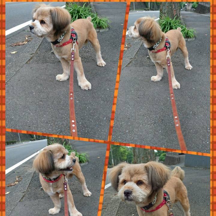 E43b09ea 3c5d 47ce 9f75 e18929b95eaa