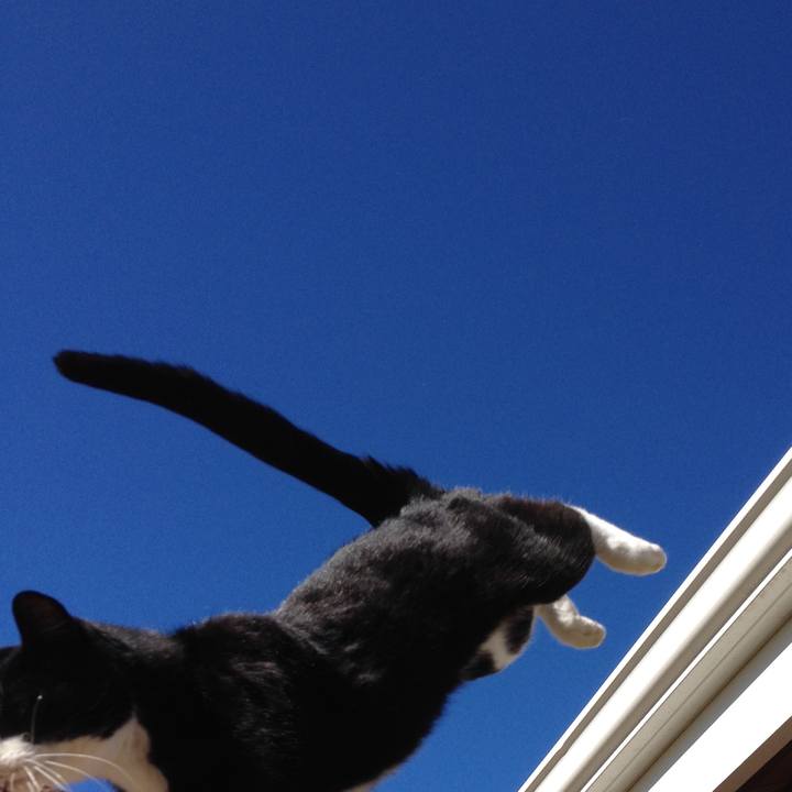 E43bb724 1452 4704 bf48 44cc09a78852