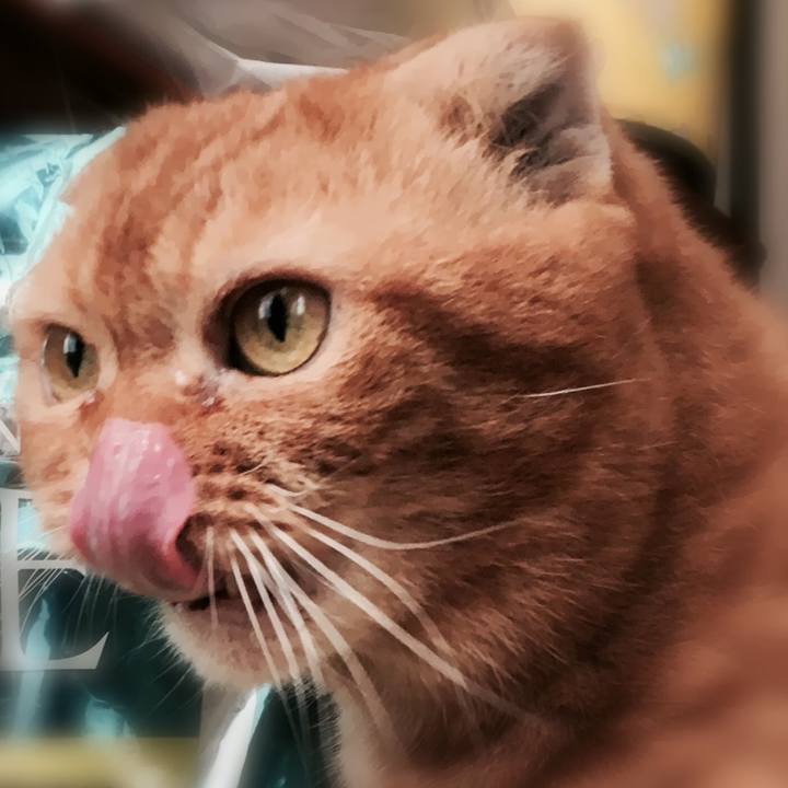 E43be6e7 5d10 406c b56f 62118ede52f2