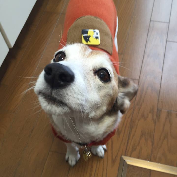 E43c04fc 4d7e 4381 9895 4a8384ab1b6c