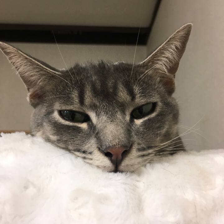 E43c6cbf 3f46 4335 8ea5 d44e9902ef5e