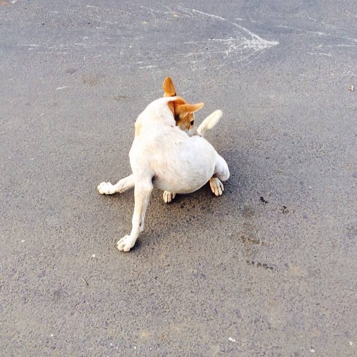 E43c99a6 4275 4bdb 83d3 11f9edf34c50