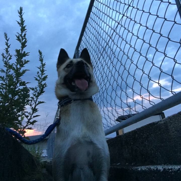 E43cb076 7b79 4ce4 a744 4aa5f8faba63