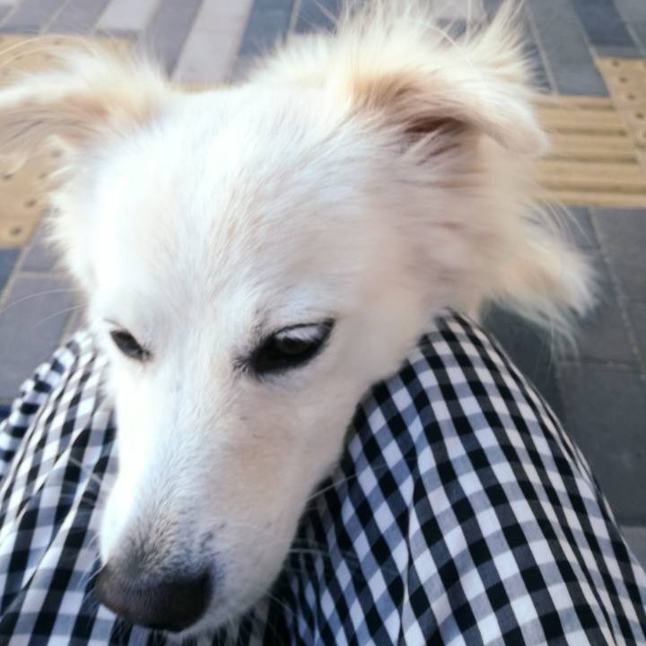 E43cc4bb 1c03 4a1e 9161 137a68e840f1