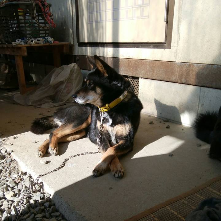 E43cd5cd ab45 40d9 be54 7f70ee4e1732