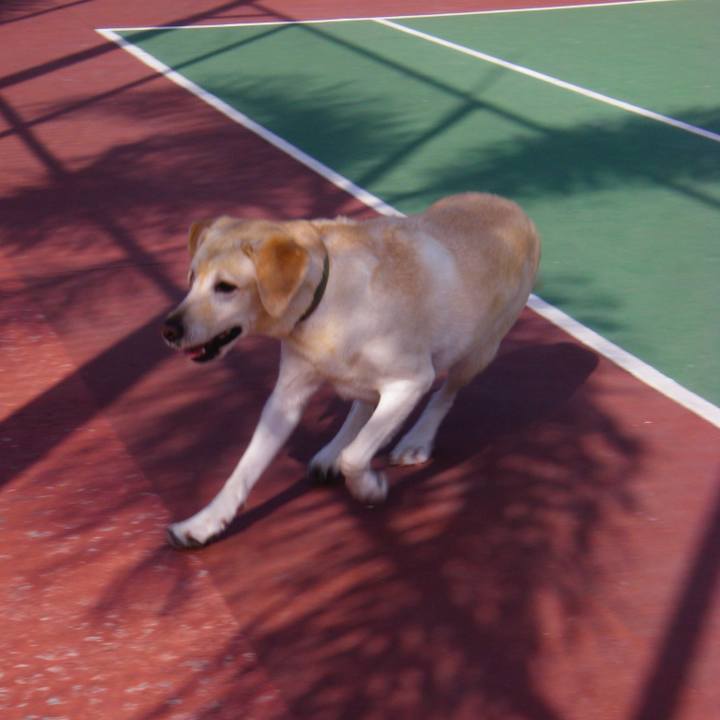 E43d63af c533 489e b219 df360a779415