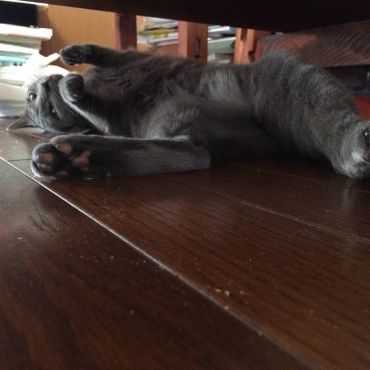 E43d9d6f 837b 46cc 83dc 57889a1ccb89