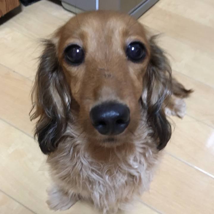 E43de15c 417a 4deb b87f 3d27e2d16a2a