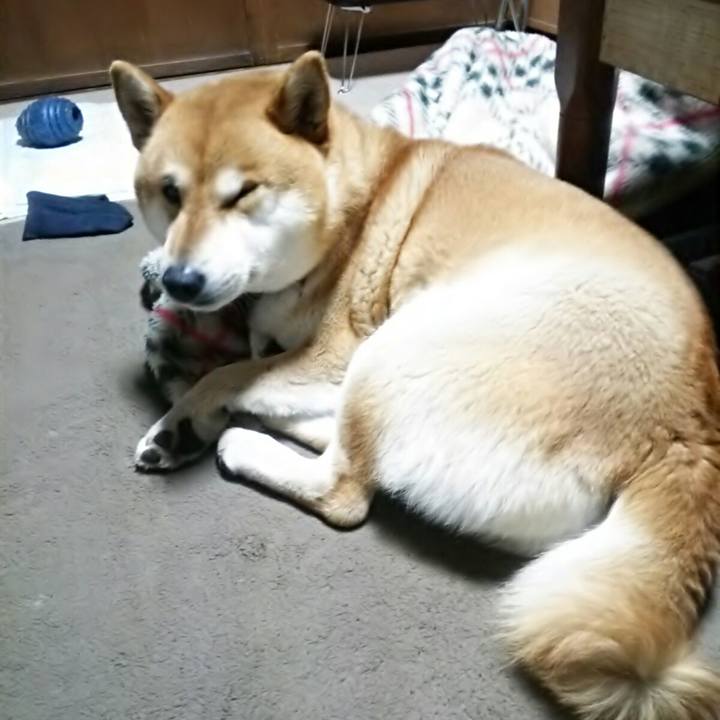 E43dfa21 3951 4c92 958c a964bc96ce8f