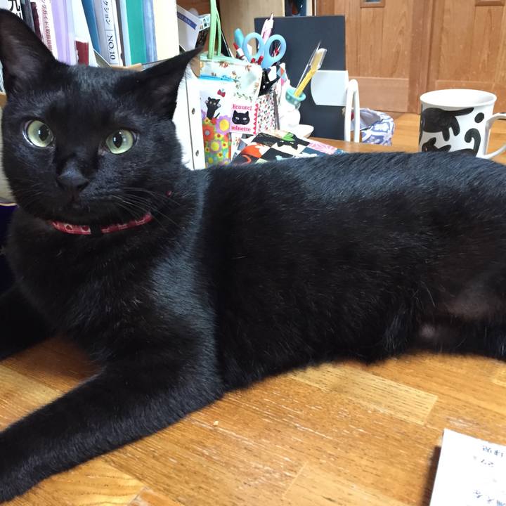 E43e1653 9530 4914 bb23 05707d0d6147