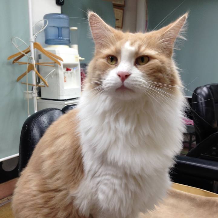 E43e8387 45b5 4a38 9818 52a82584254a