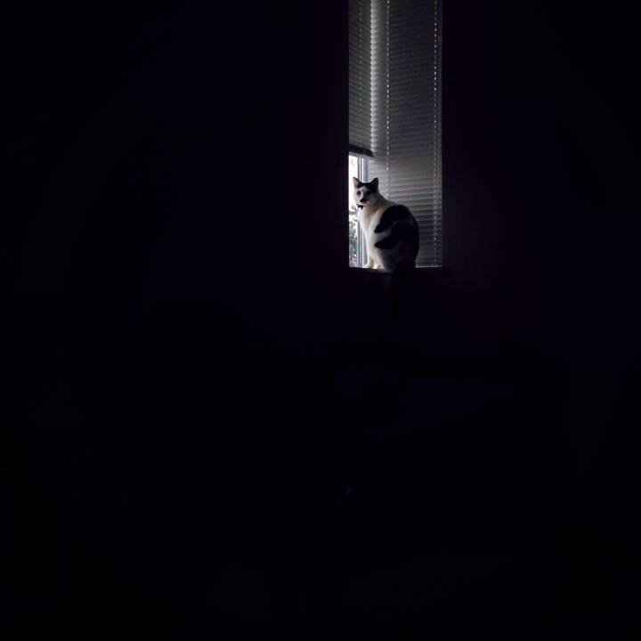 E43ea64e fe9f 4d23 b0f9 dc0d9b72d1cb